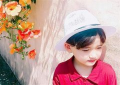 杨锦垚(锦衣玉食 高大英俊)_杨锦垚名字打分怎么样