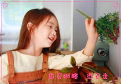刘林琰综合得分：92|刘林琰带林的名字，琰字取名的寓意和五行是什么
